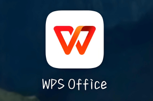 WPS Writer软件