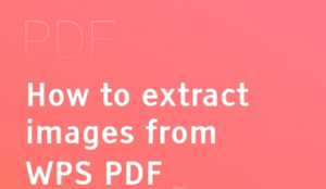 WPS PDF文件