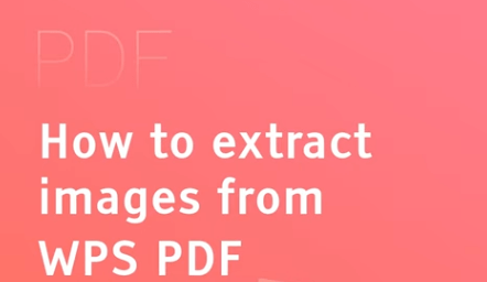 WPS PDF文件