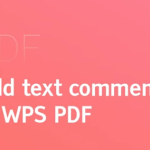 WPS PDF 转 Word